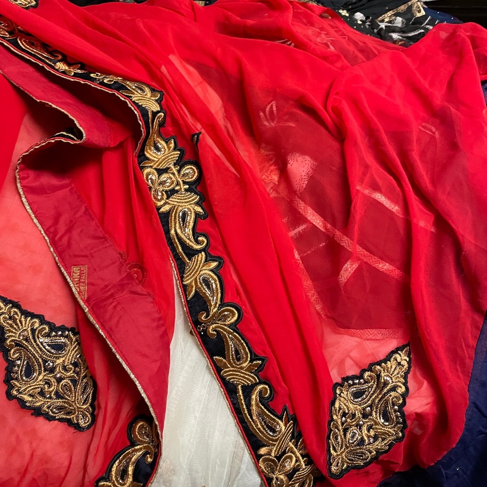 Gorgeous sari